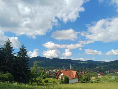 20260608_091853.jpg