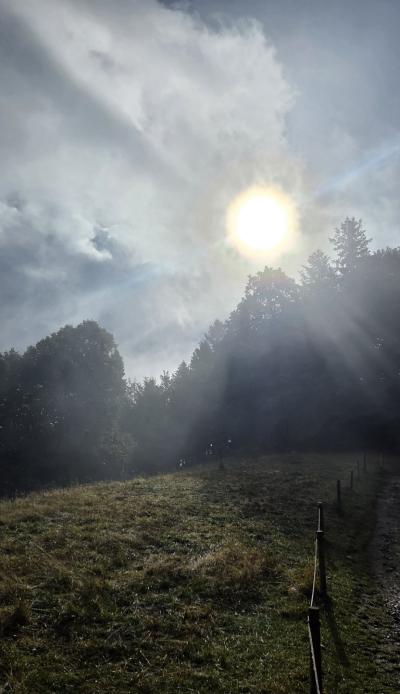 Messenger_creation_3443038C-027B-432C-97F1-FC6079AF8BC1.jpeg