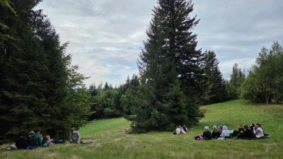 Messenger_creation_7007B633-EACB-45AF-B181-0CE5FB684C90.jpeg