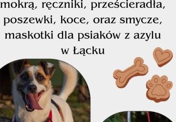 Podaj łapę - zbiórka