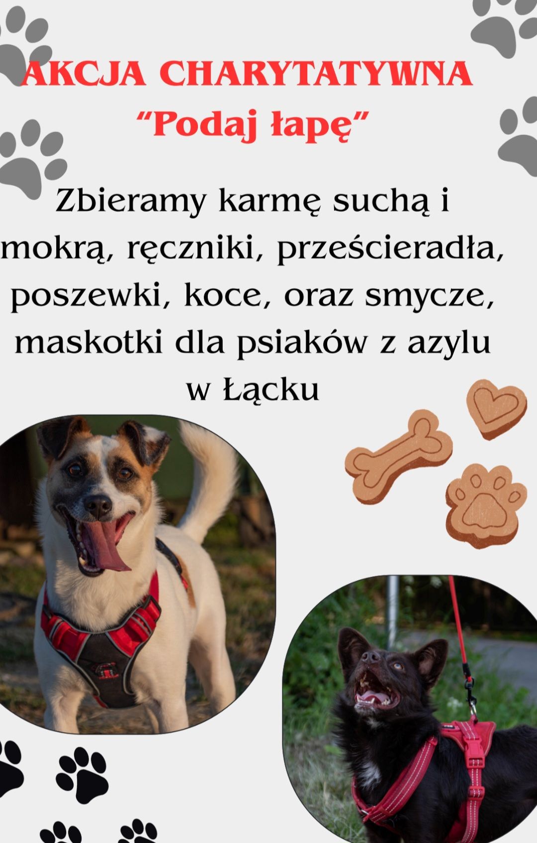 Podaj łapę - zbiórka